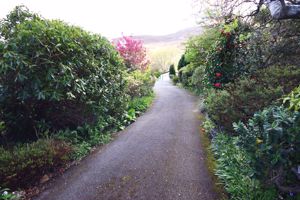 Photo 41- click for photo gallery